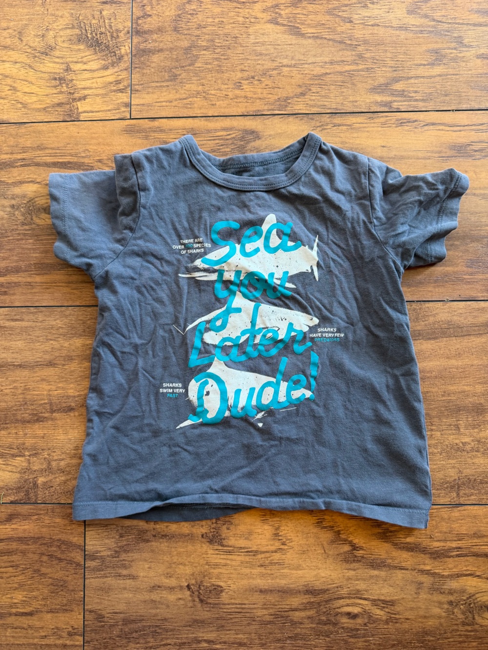 OshKosh B'gosh Charcoal Tee with Aqua Graphic
